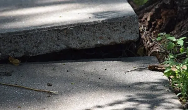 repaired sidewalk in nyc